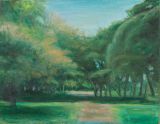 野川公園の緑の木々