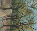 晩秋の武蔵野公園