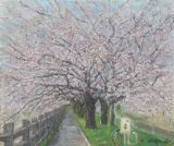 磯部堤の桜並木