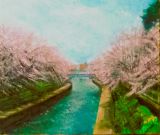 いたち川の桜並木