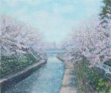 桜の花咲くいたち川